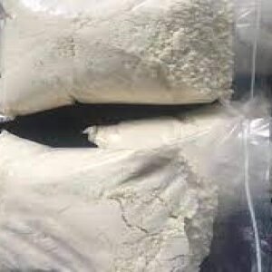  100 G 5C AKB48